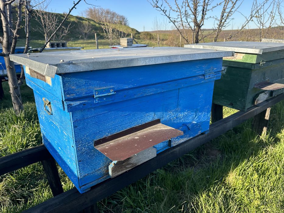 Stup Orizontal /Albine /Ladă