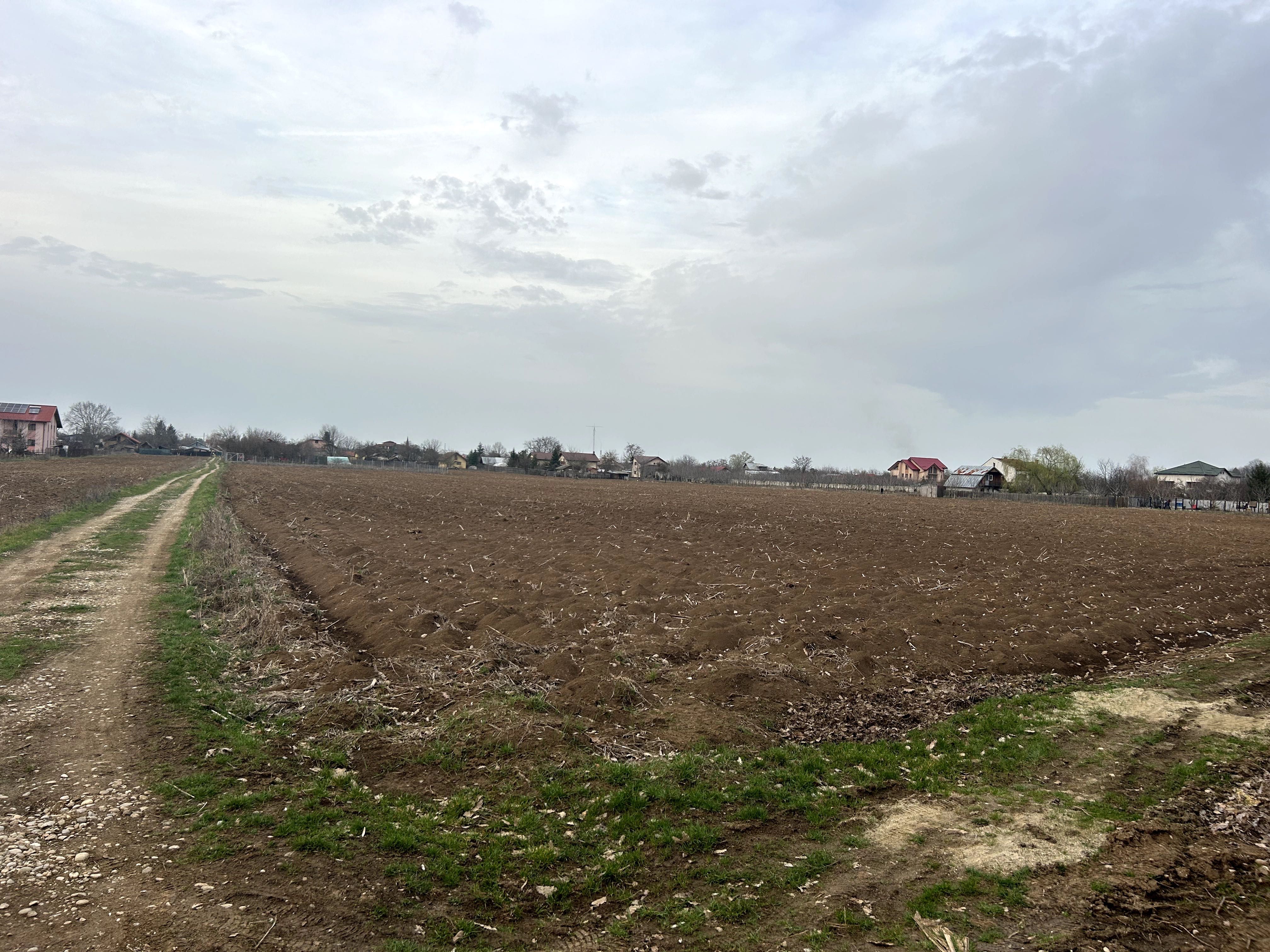 Teren Vladiceasca, langa padure 1110mp(61X18) zona Snagov.