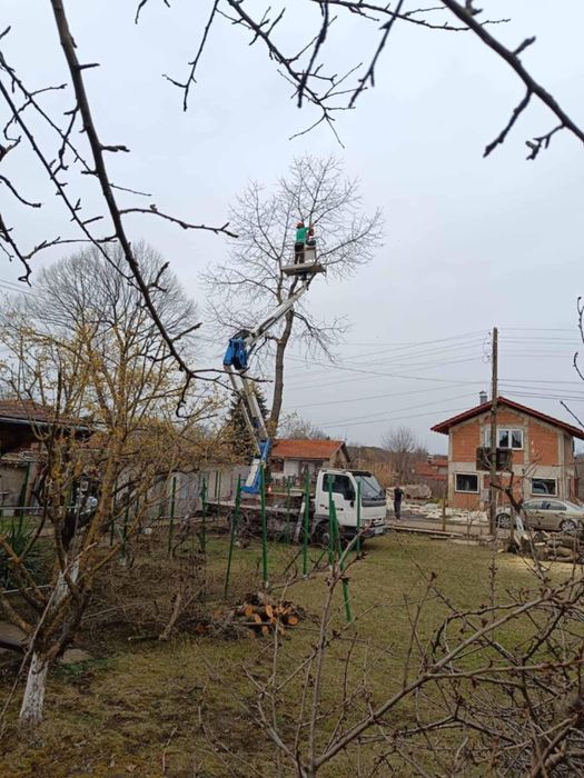 Рязане, кастрене и почистване на терени!