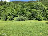 Vanzare doua terenuri:1.032mp+1.175mp, TARCAU, punctul POIANA, NEAMT