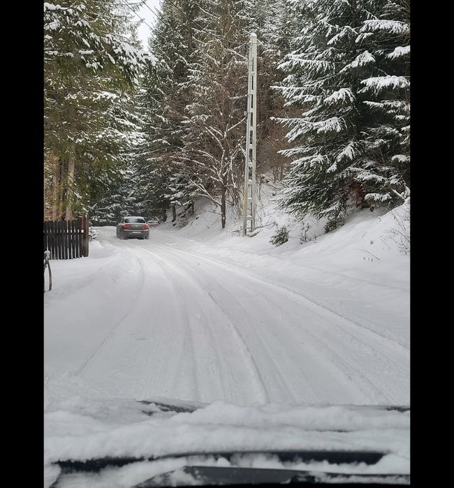 Cabana-duplex Pojorâta, zona superba, Transrarău, Izvorul Giumalau - C