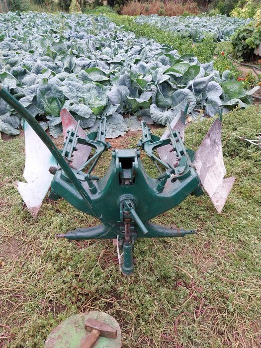 Plug reversibil 2 brazde