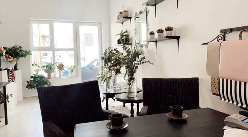 Spațiu comercial ultracentral – Strada Primăriei Oradea – 35 mp