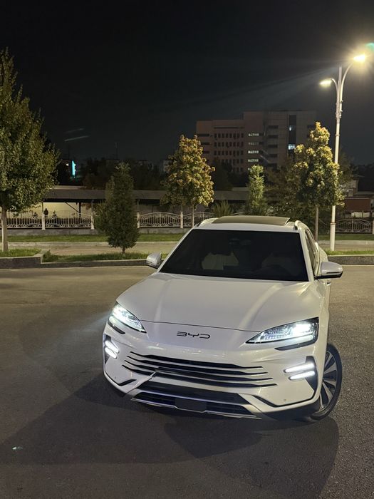 BYD CHampion Hybrid