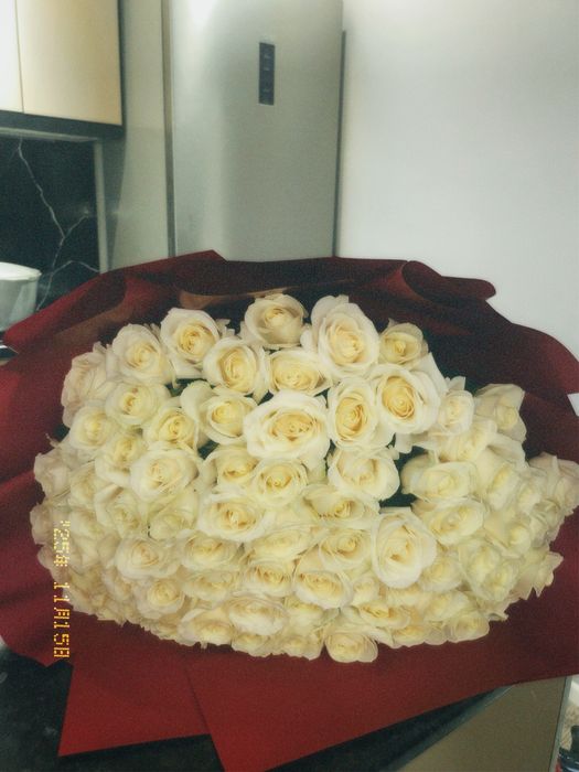 белые розы 51 штук