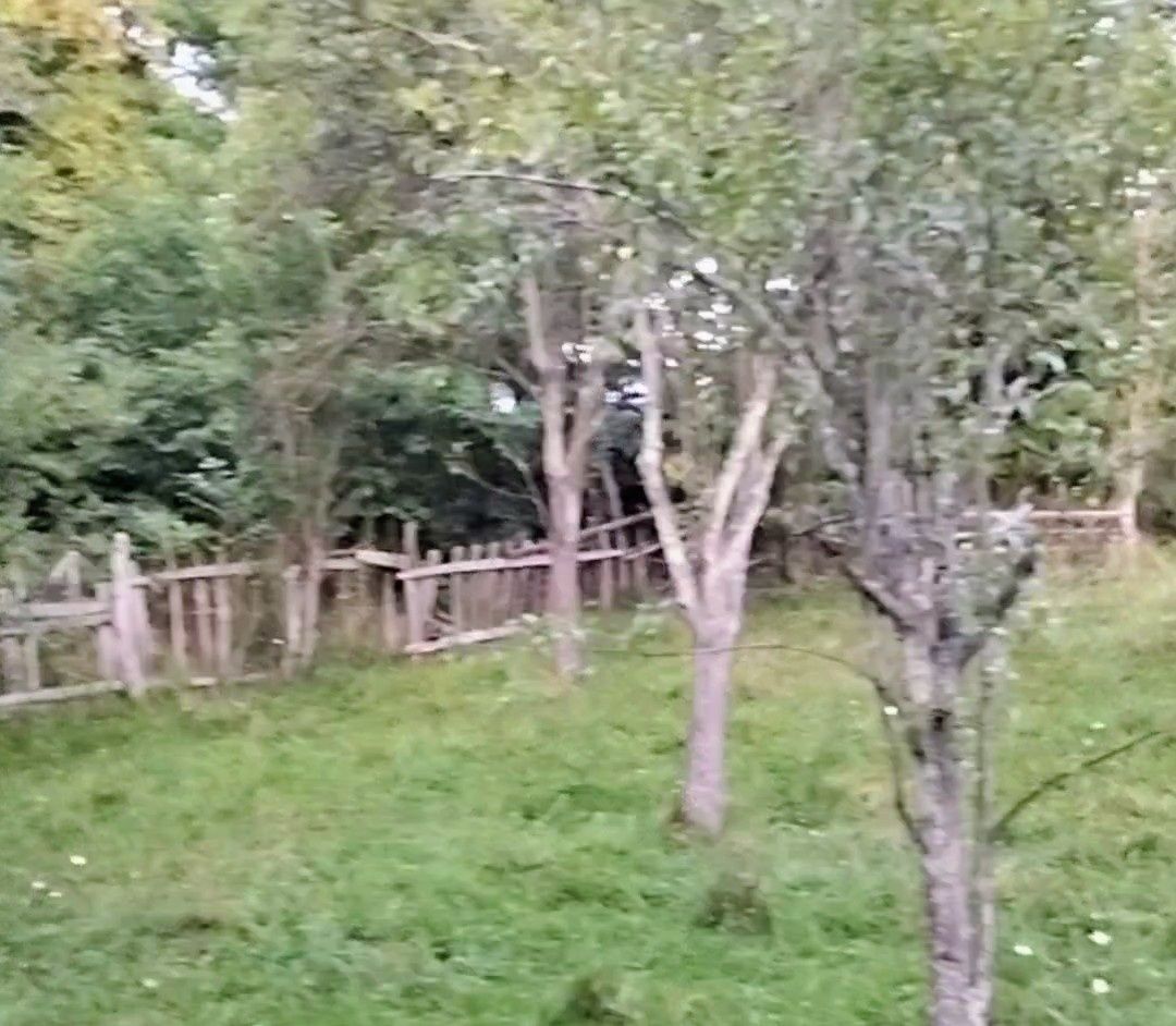 Vând teren pt casa de vacanta  langă Curtea de Argeș