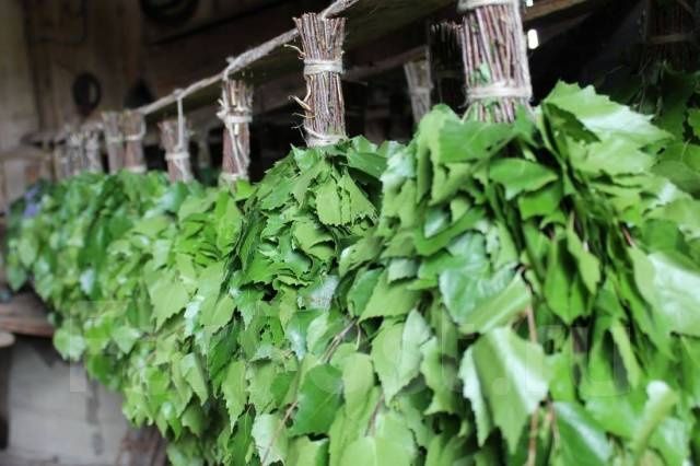 Продам берёзовые веники