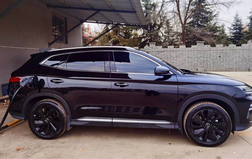 Наклейка на диски для BYD champion