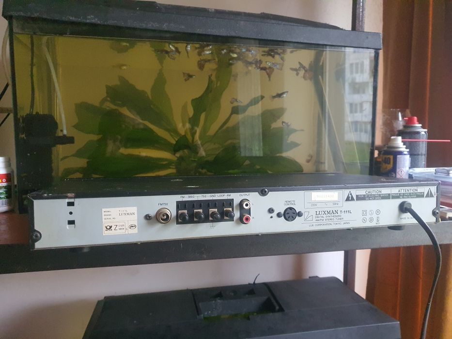 tuner luxman t 111 l