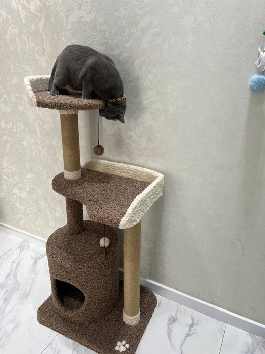 Домик когтеточка для кошек. Игровой домик. Зоодомики