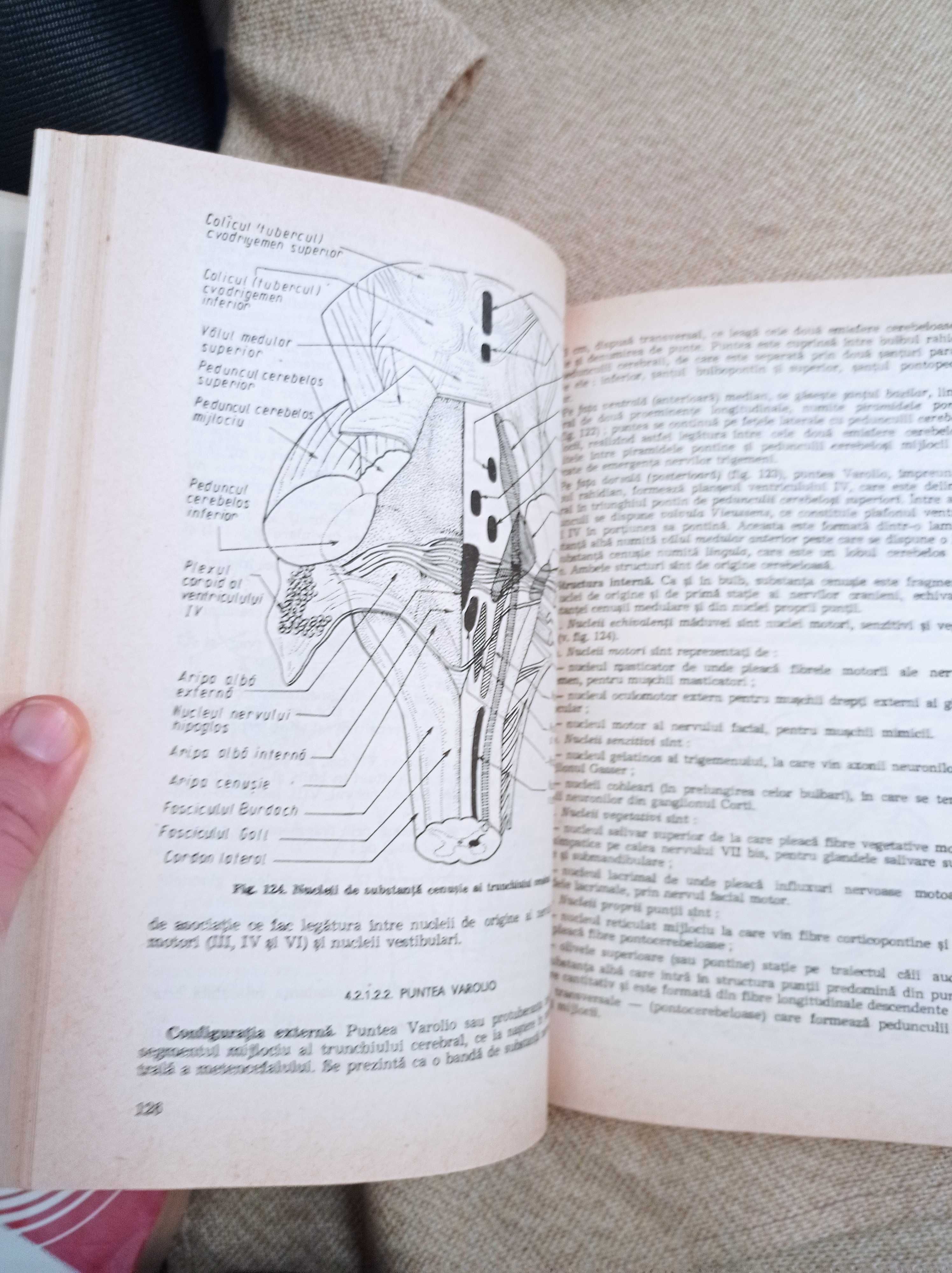 carte/manual Anatomia omului