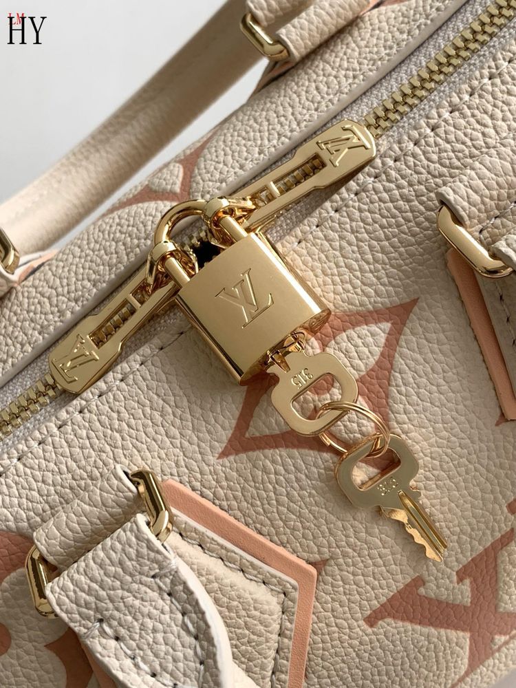 Geanta Louis Vuitton 20