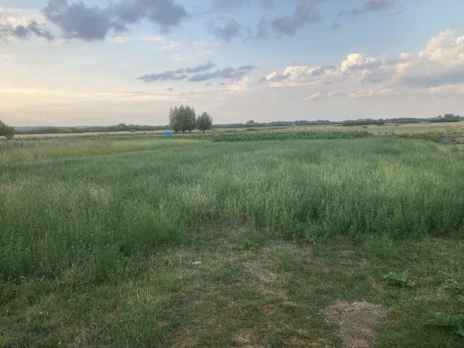 Vind Casa in Cislaz jud Bihor la 60km de Oradea