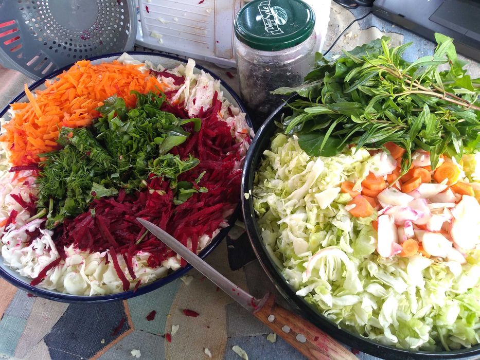 Детегледачка / домашна помощница