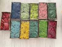 Licheni stabilizati 500gr calitatea 1