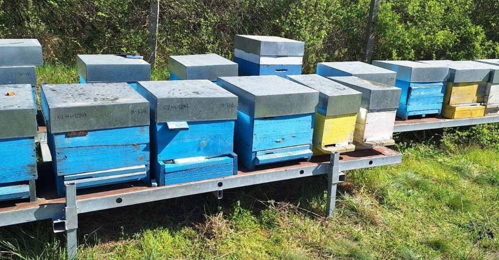Продавам пладформи за пчеларство
