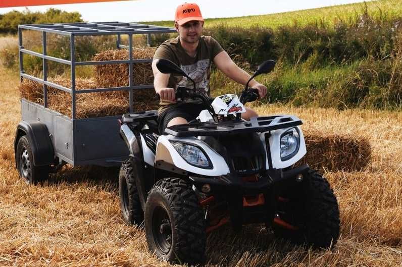 MYMOTO CLUJ VINDE : ATV KAYO AU200 [inmatriculabil T3B] [4T] - NOU