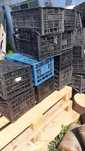 Vand ladite plastic pentu struguri