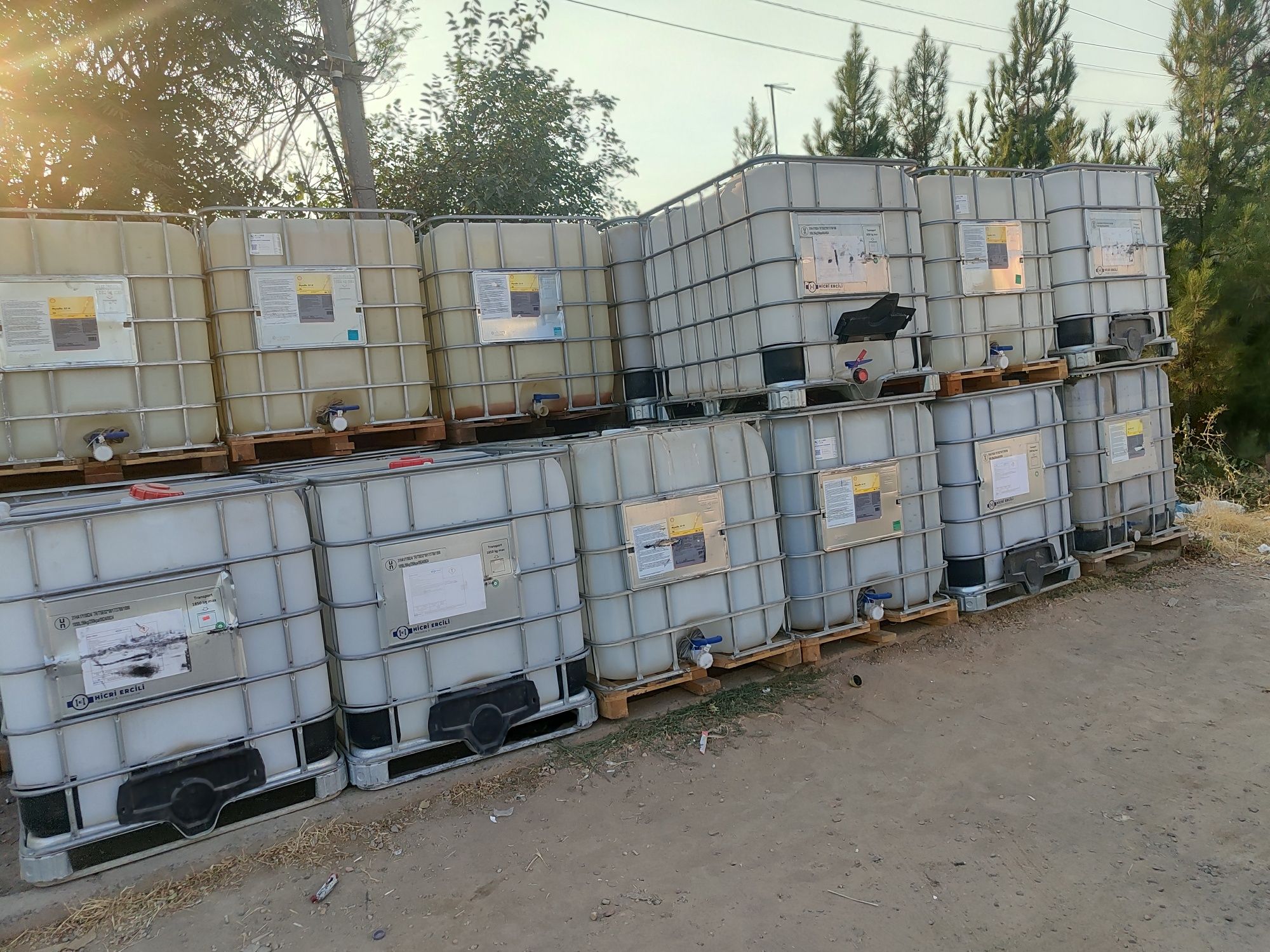 Arzon narxlarda bochkala bor