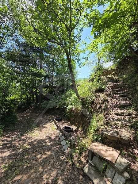 Продава се Къща в с. Бачково, Област Пловдив - 241 кв.м за 56 €/кв.м - Снимка #3