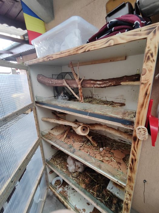 Cușcă mare 4 etaje + iepuri + chinchile – tot pachetul