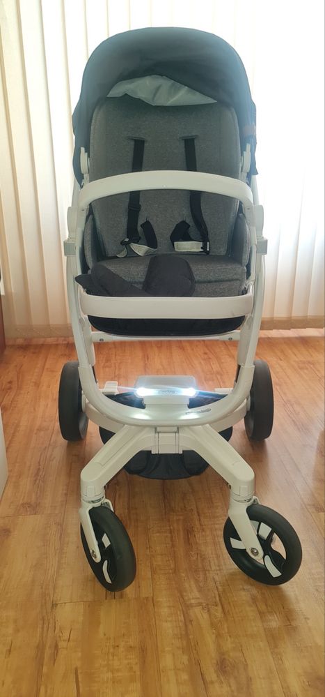 Chipolino Electra