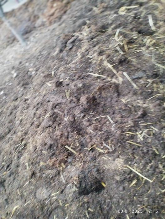 Пори , биогомус сотилади