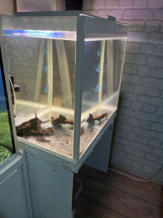 Аквариум 150 литра обурудван