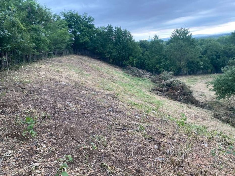 Amenajării curți Brașov