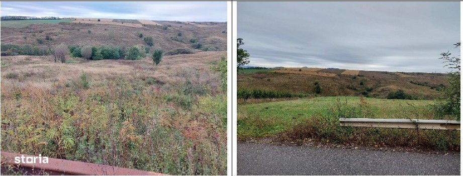 Teren extravilan pasune Ardeoani, ID: R2404613