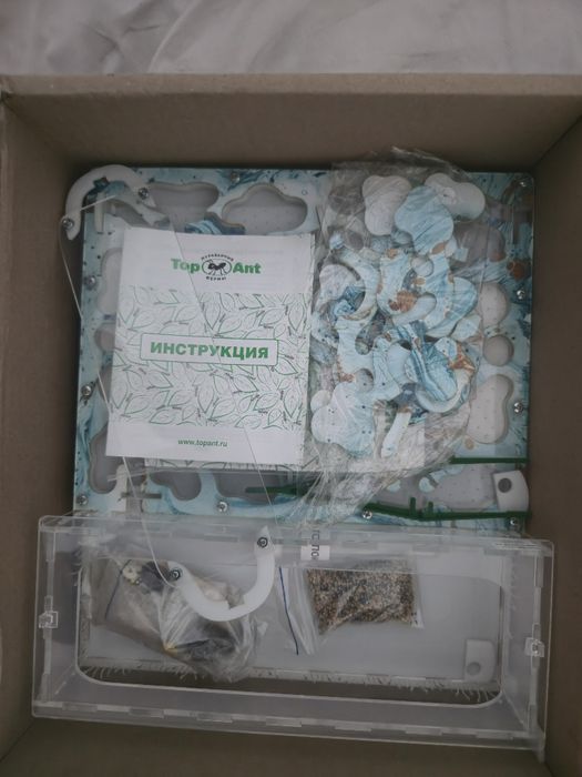 Муравиная ферма.