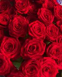 Доставка Цветов Семей Розы