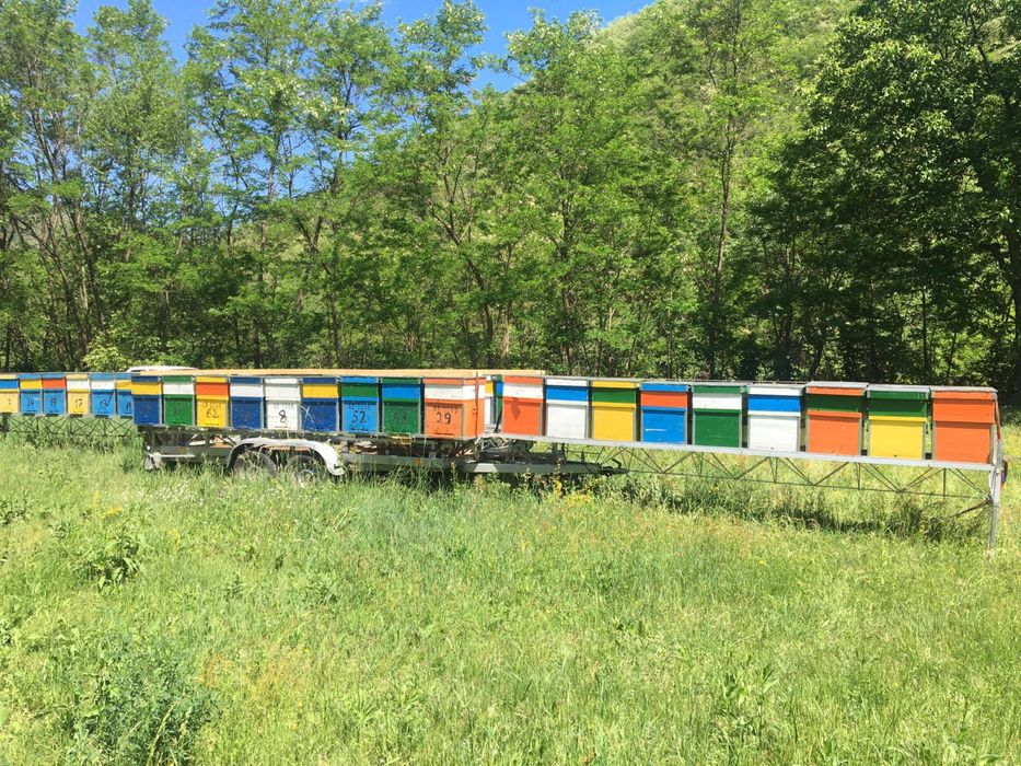 Modul Apicol / Rastel Apicol 36 Pozitii Transport Apicol