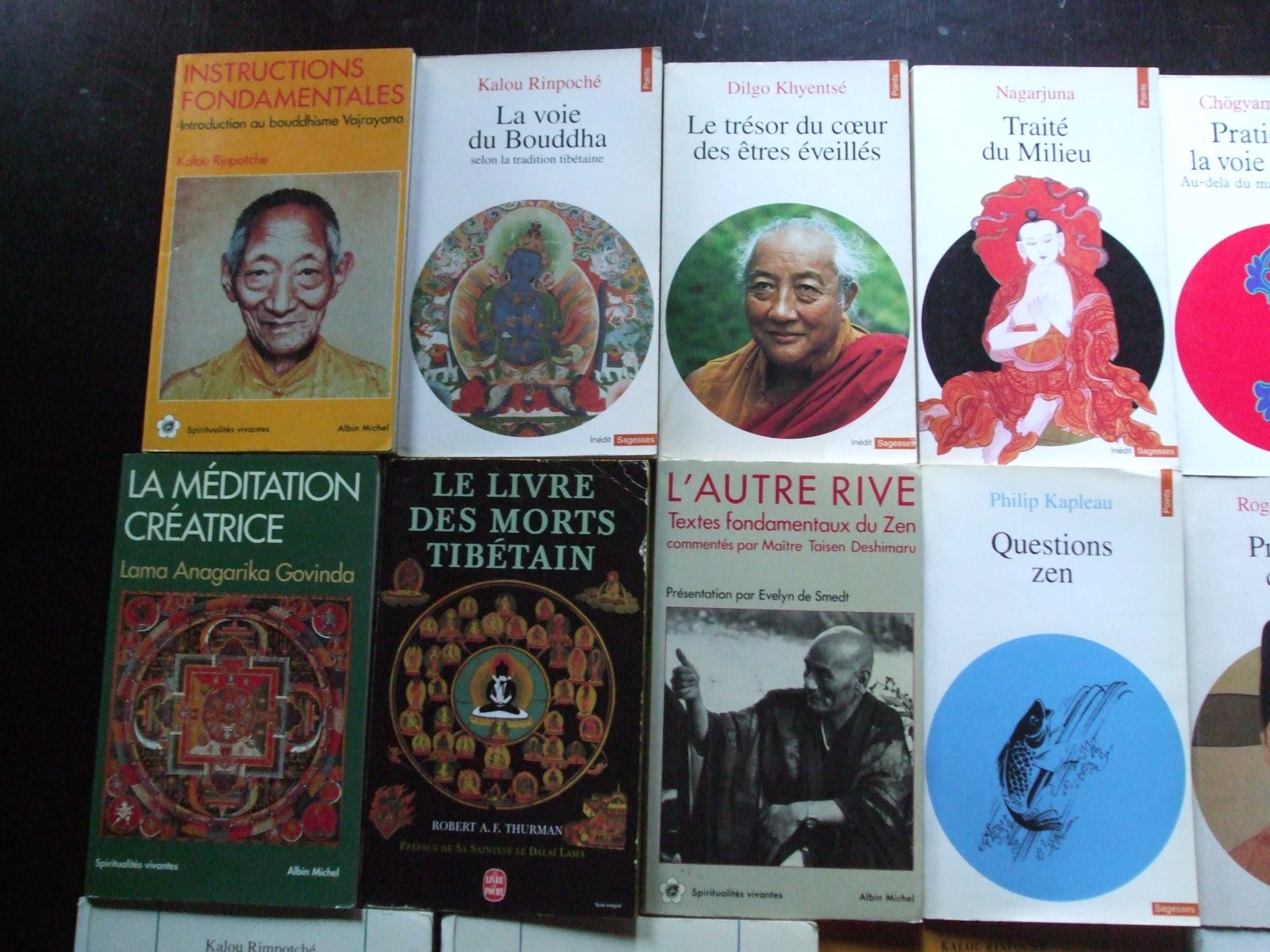 colecţie cărți budhism_tibetan, indian, zen, dao_în limba franceza