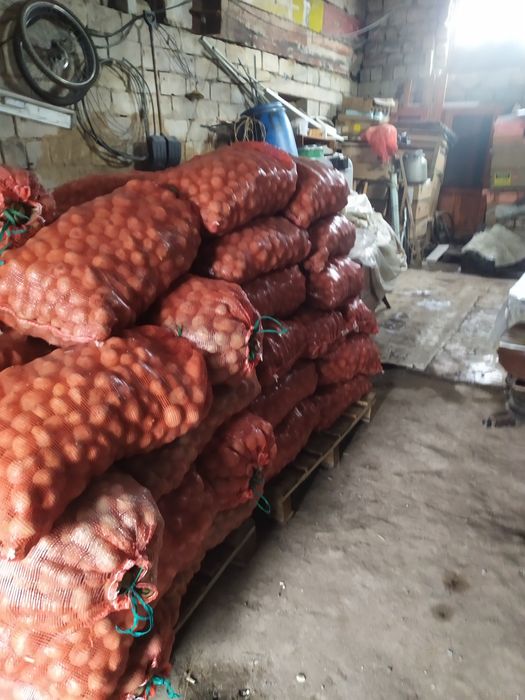 Продам картошку хорошая