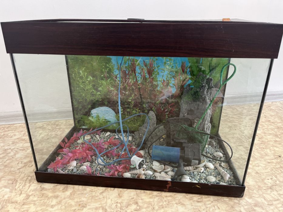 Аквариум для рыб