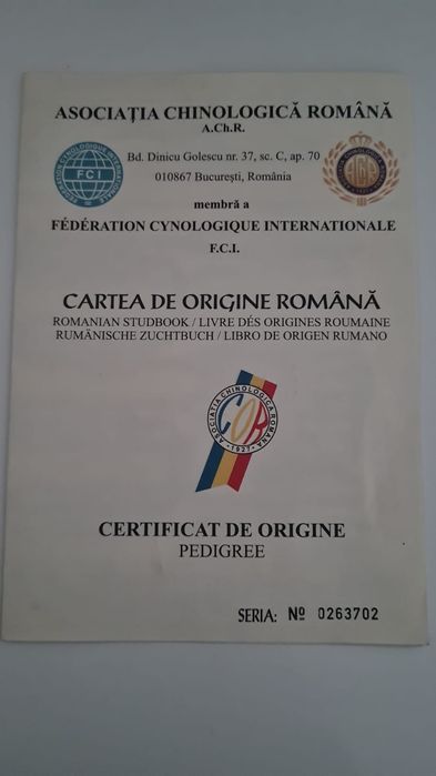 Vand mascul Asia centrala sau schimb pe oi