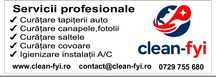 Curatare profesionala canapele si tapiterie auto