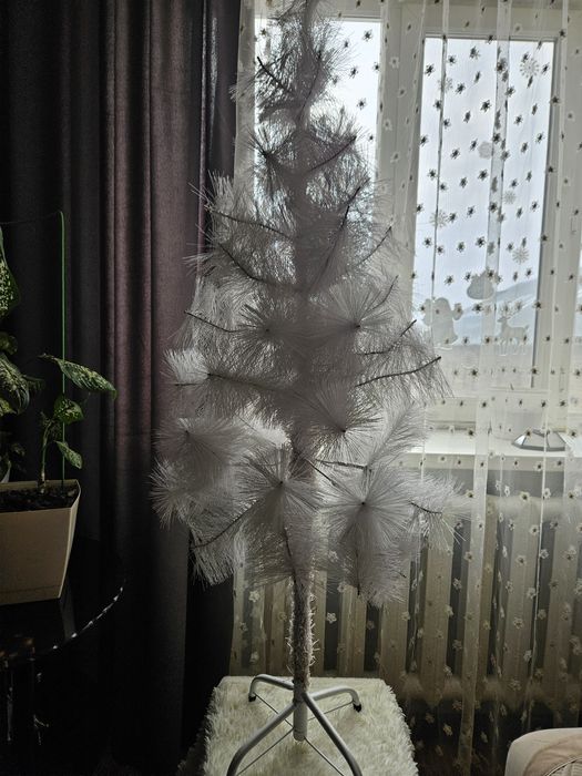 Отдам ёлку за шоколадку