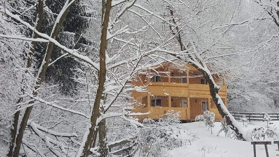Cabana de craciun Cluj