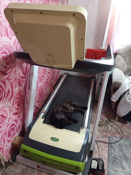 Беговая дорожка GREEN HILL