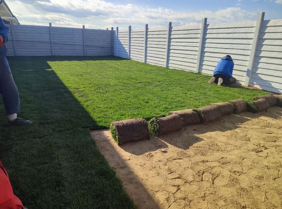 Amenajeri spati verzi gazon plante decoruri piatra & piatra cubica etc