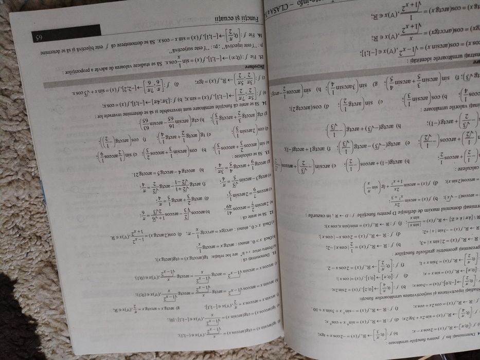 Culegere matematica Campion clasa a X-a