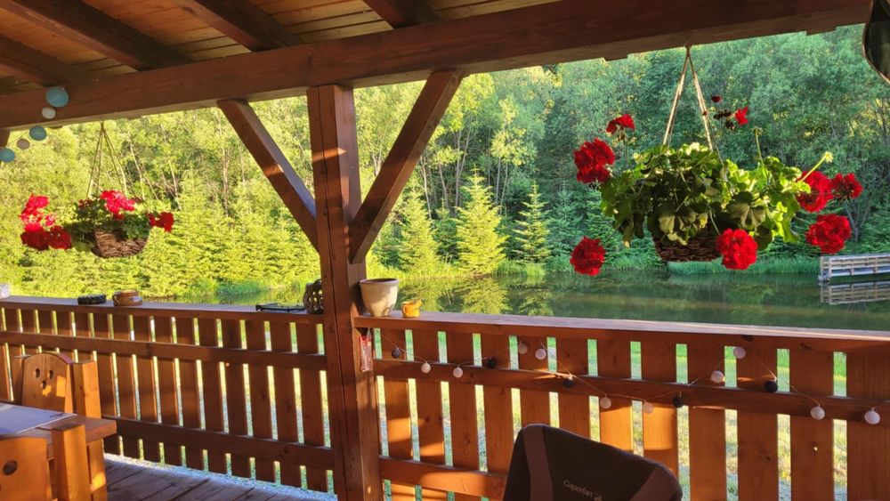 Pensiune, pastravarie, afacere la cheie