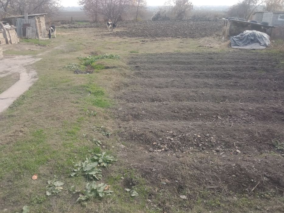 Тайор 15 сотихли хонадон срочна сотилвотти