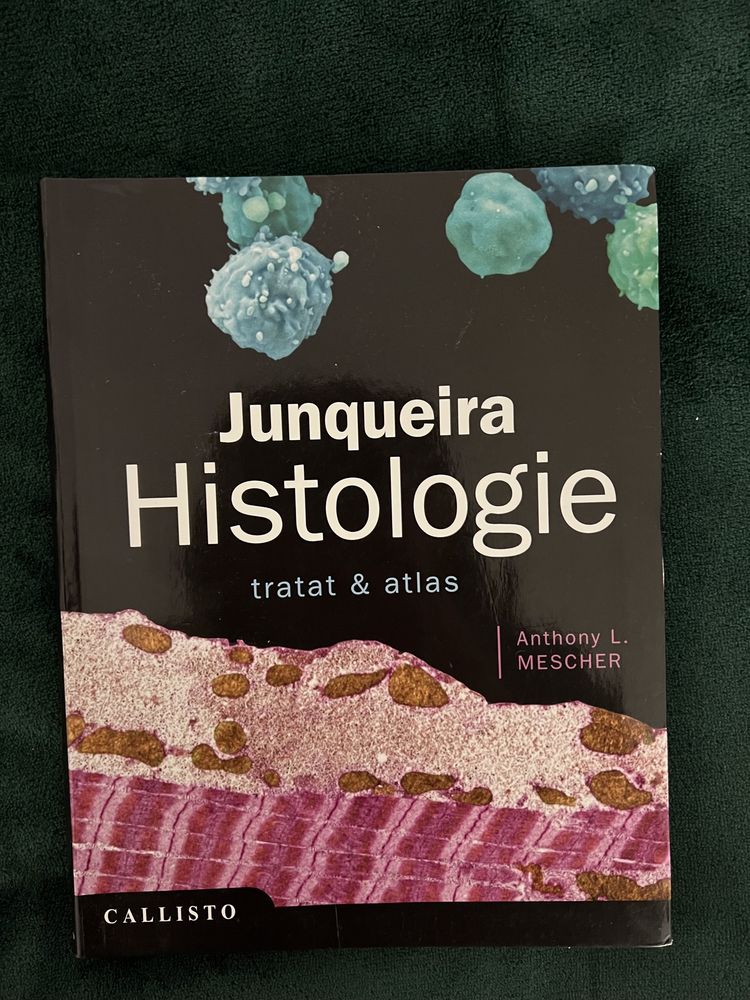 Histologie Junqueira