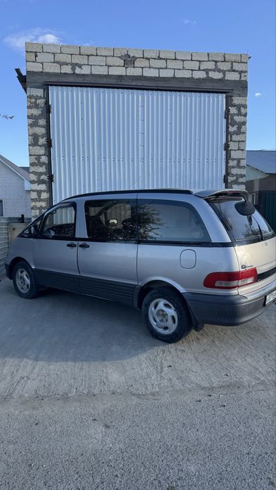 Таиота естима Люсида