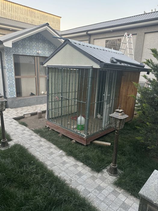 Голубятник продам