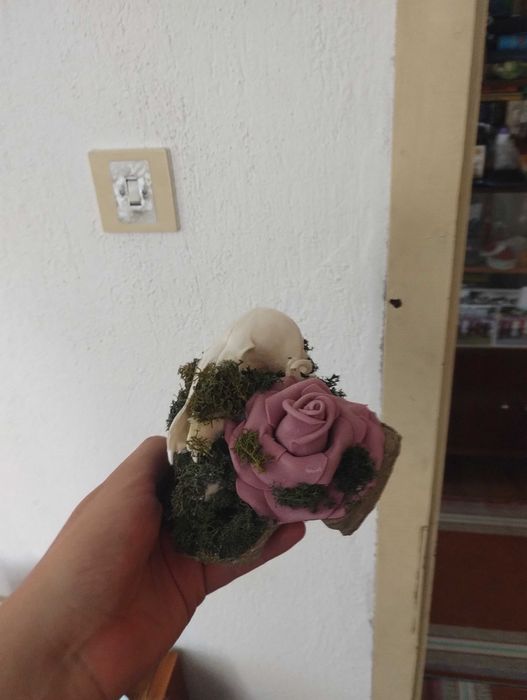 Етично изкуство върху кости