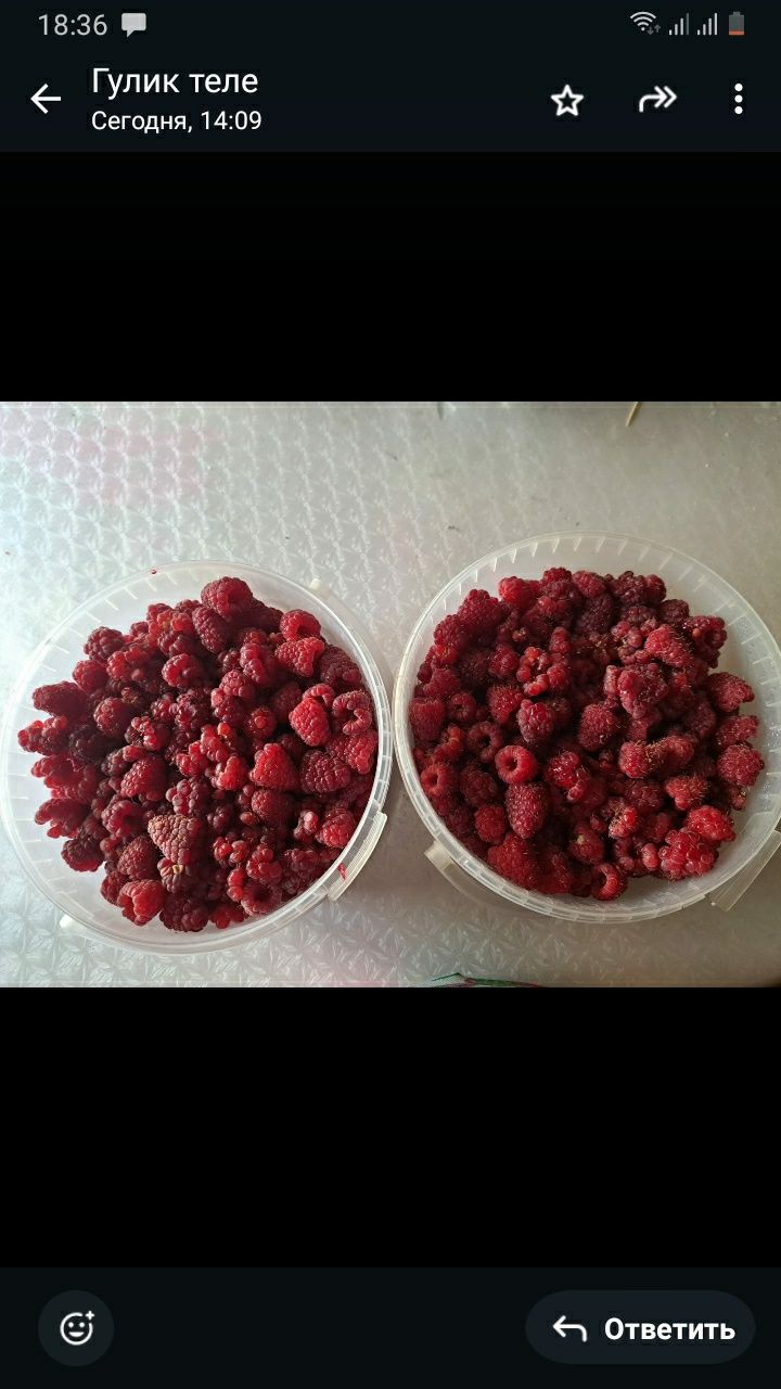 Продам малину сорт"Полана"